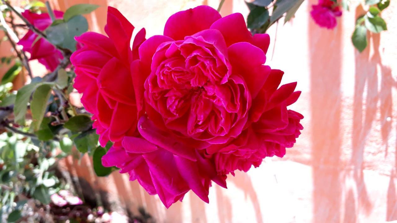 Morada Recanto Das Flores Miguel Pereira Zewnętrze zdjęcie
